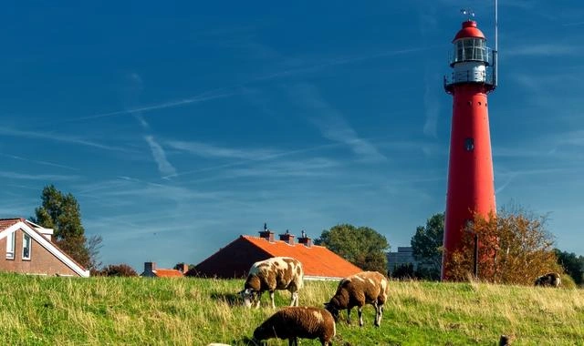 Playa de Hoek van Holland, dunas y costa del mar del Norte en los Países Bajos